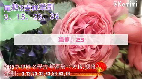 33劃總格分析